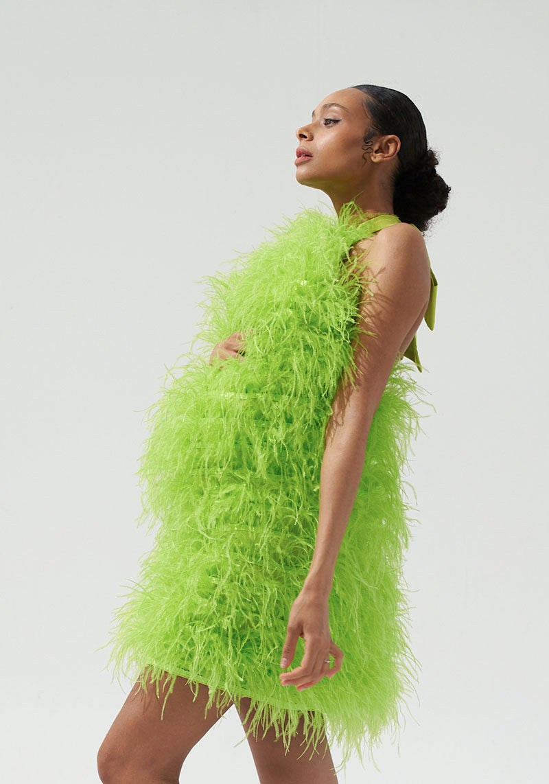 [FINAL SALE] FEATHER DRESS NO. 2