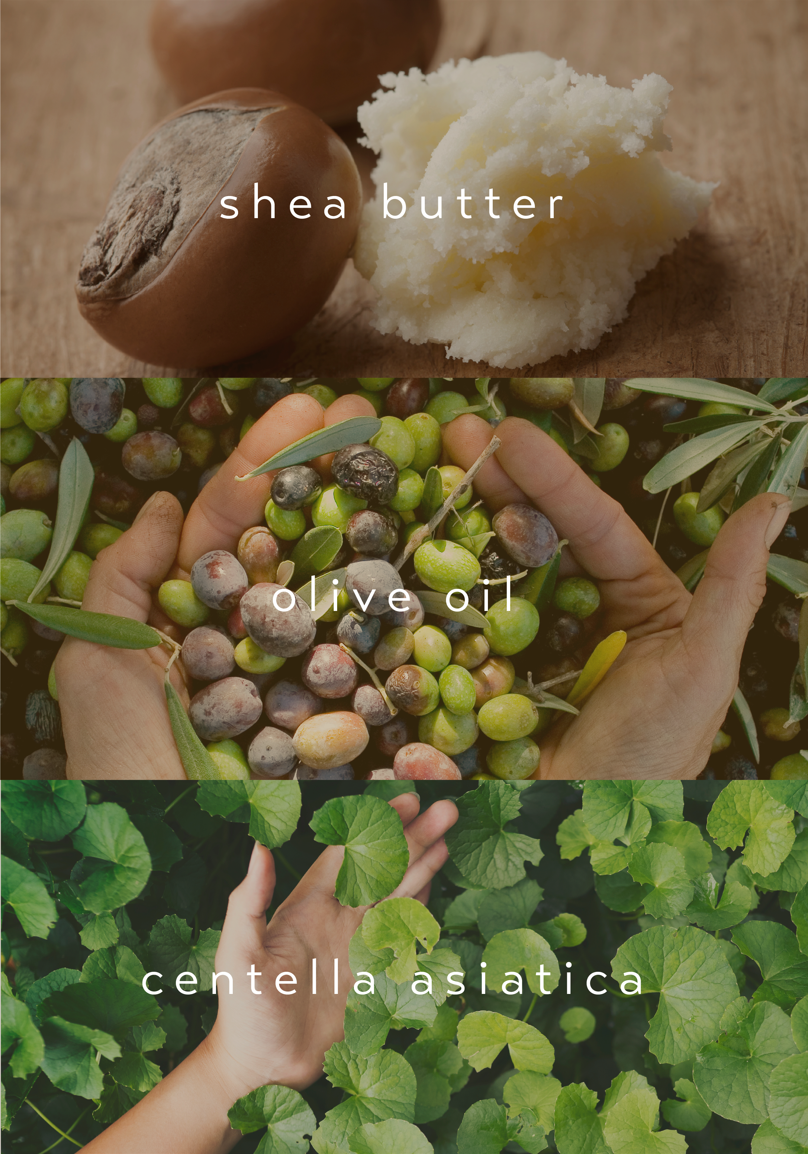 [FINAL SALE] CRÈME BELLY HERBAL OIL SOOTHING VEGAN CREAM FOR BODY & STRETCH MARKS